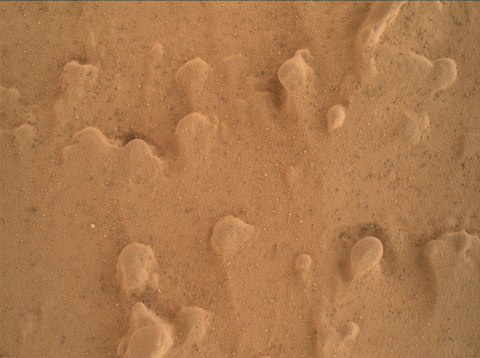 Nasa's Mars rover Curiosity acquired this image using its Mars Hand Lens Imager (MAHLI) on Sol 1829