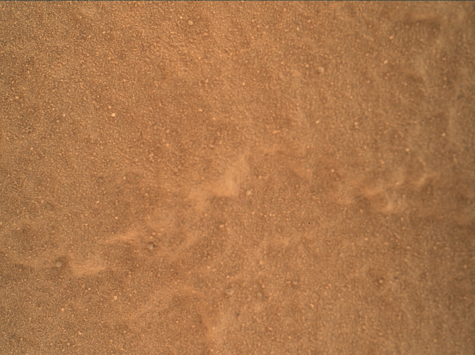 Nasa's Mars rover Curiosity acquired this image using its Mars Hand Lens Imager (MAHLI) on Sol 1830