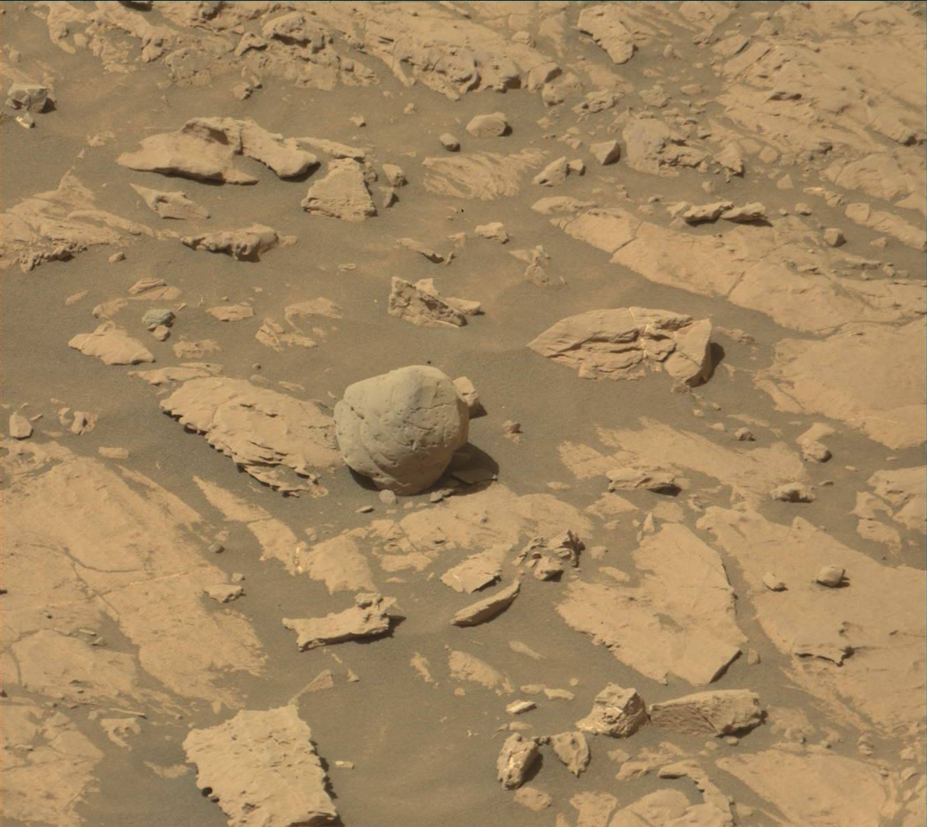 Nasa's Mars rover Curiosity acquired this image using its Mast Camera (Mastcam) on Sol 1831