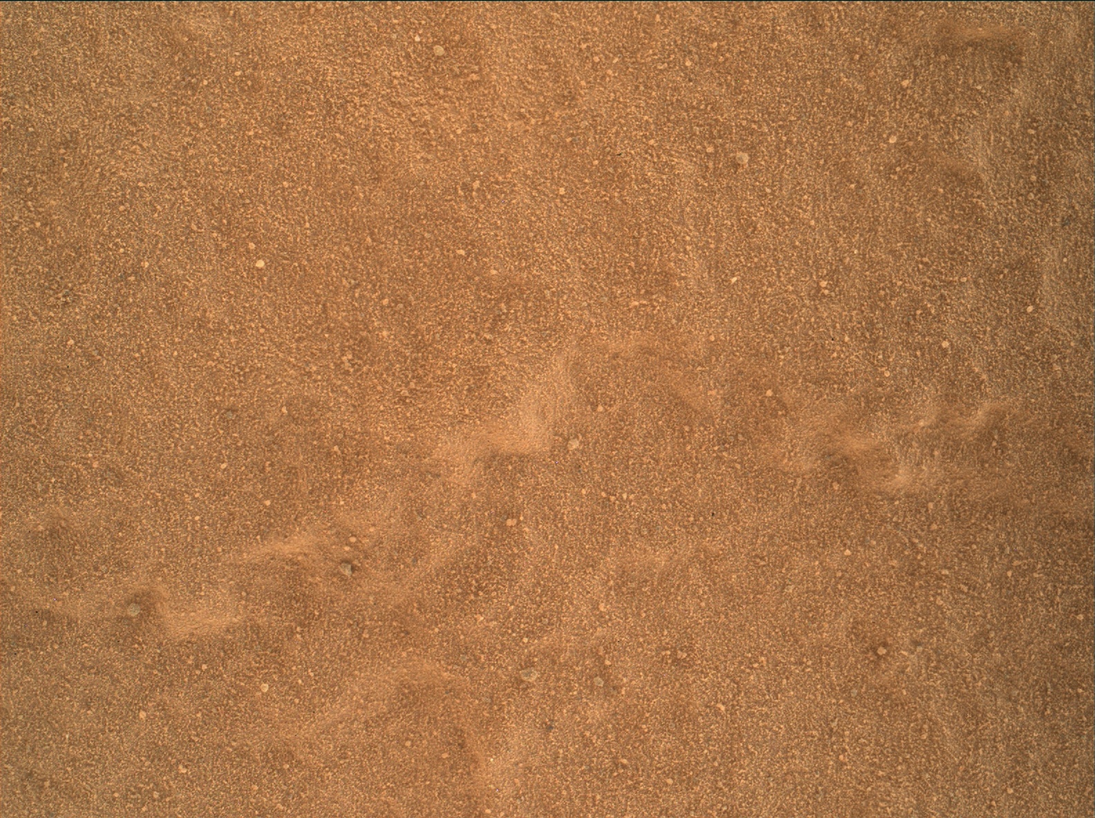 Nasa's Mars rover Curiosity acquired this image using its Mars Hand Lens Imager (MAHLI) on Sol 1833