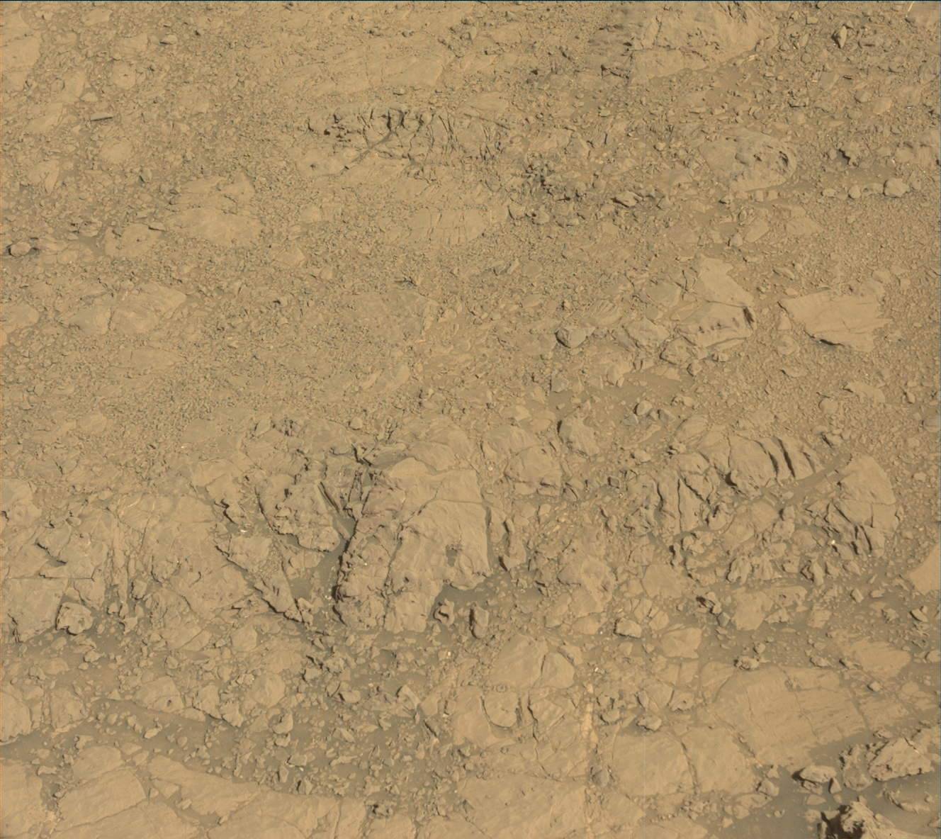 Nasa's Mars rover Curiosity acquired this image using its Mast Camera (Mastcam) on Sol 1834