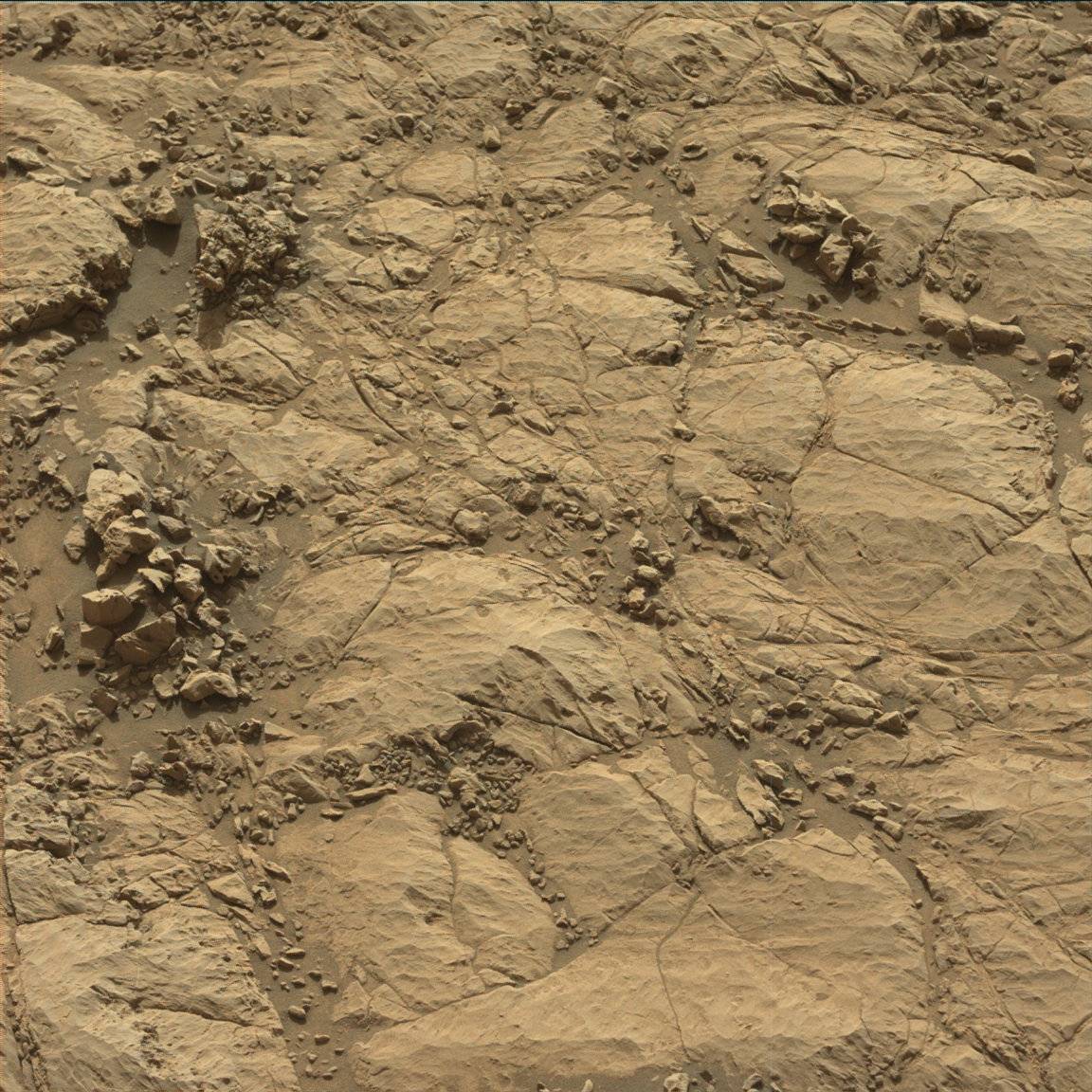 Nasa's Mars rover Curiosity acquired this image using its Mast Camera (Mastcam) on Sol 1834