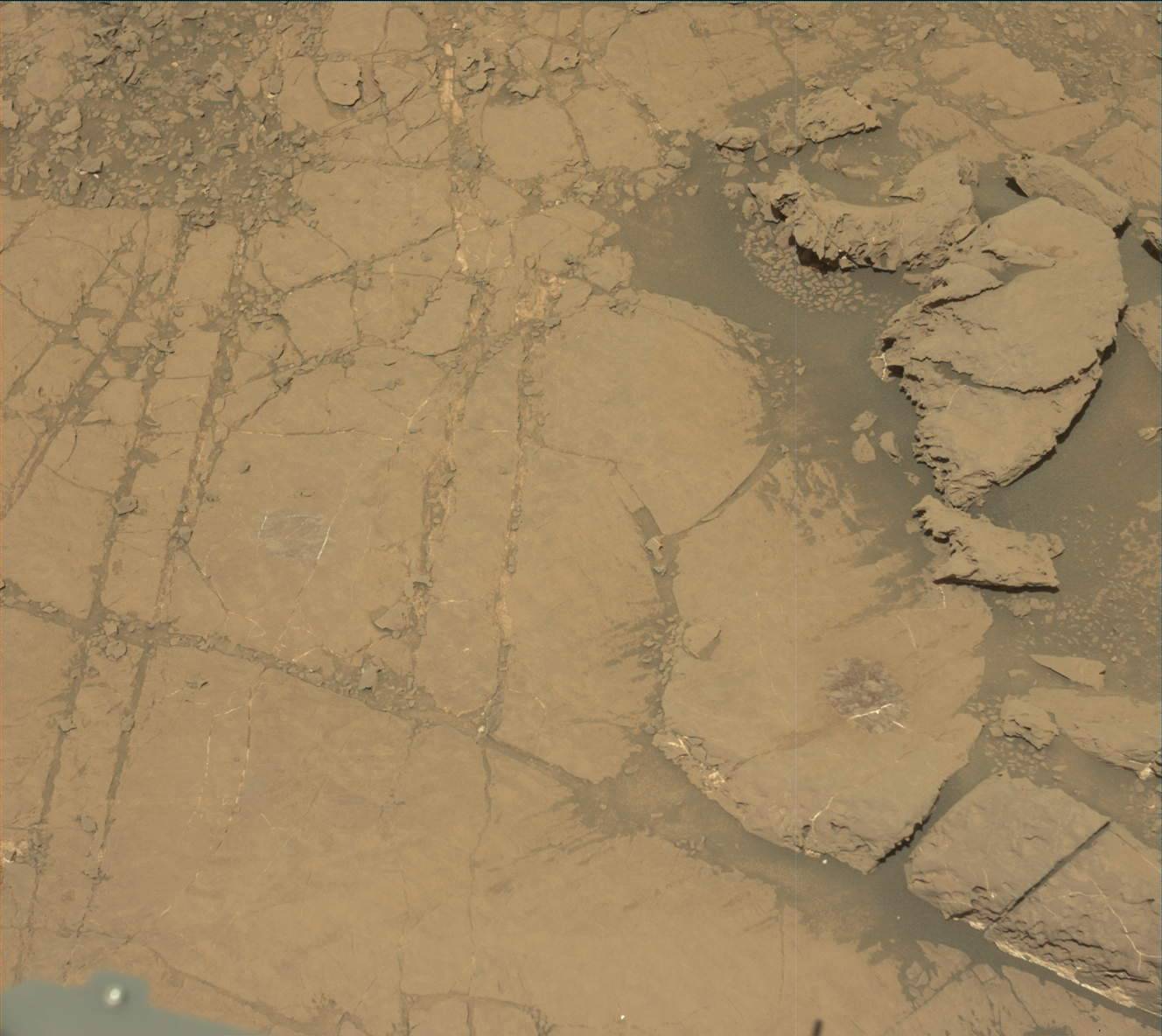 Nasa's Mars rover Curiosity acquired this image using its Mast Camera (Mastcam) on Sol 1837