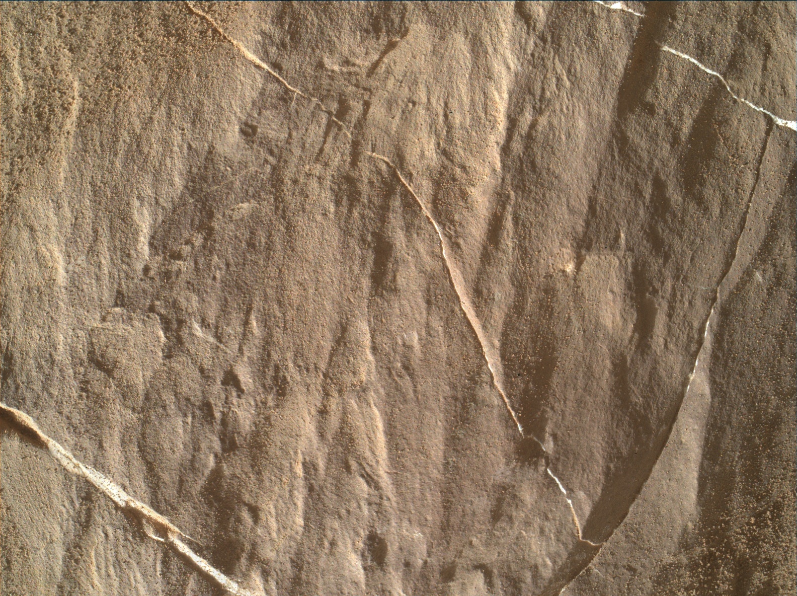 Nasa's Mars rover Curiosity acquired this image using its Mars Hand Lens Imager (MAHLI) on Sol 1837