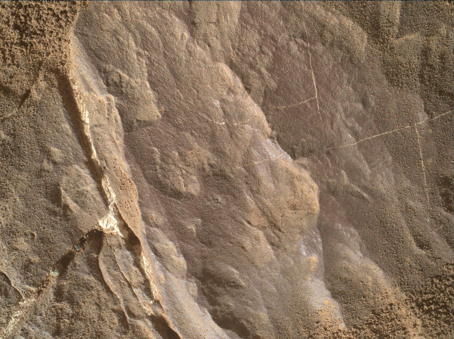 Nasa's Mars rover Curiosity acquired this image using its Mars Hand Lens Imager (MAHLI) on Sol 1837
