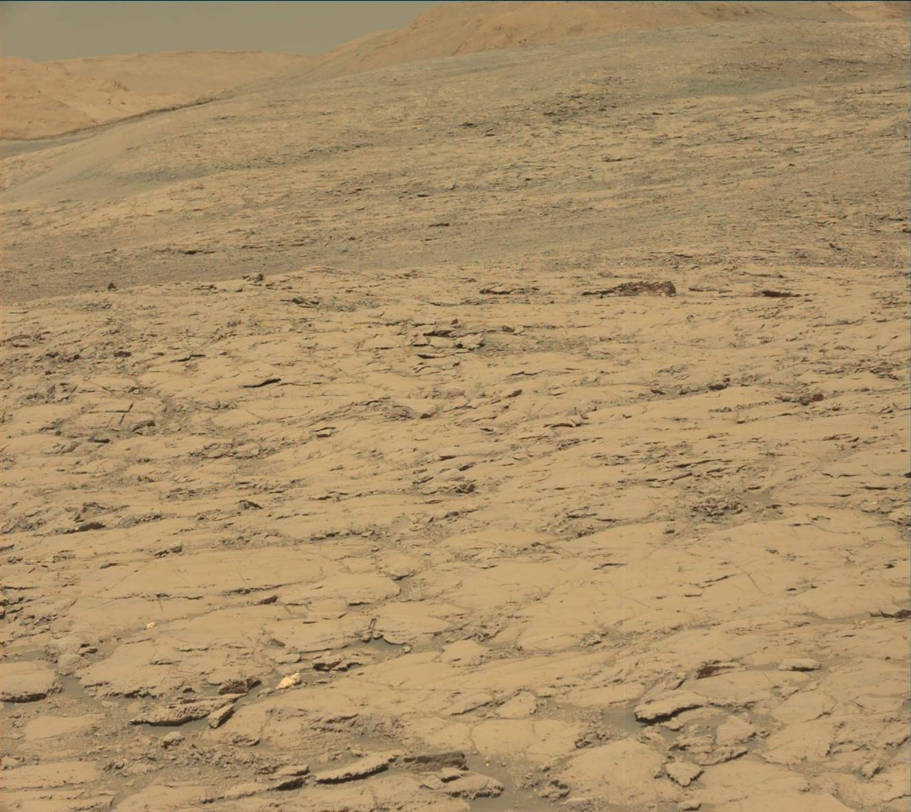 Nasa's Mars rover Curiosity acquired this image using its Mast Camera (Mastcam) on Sol 1838