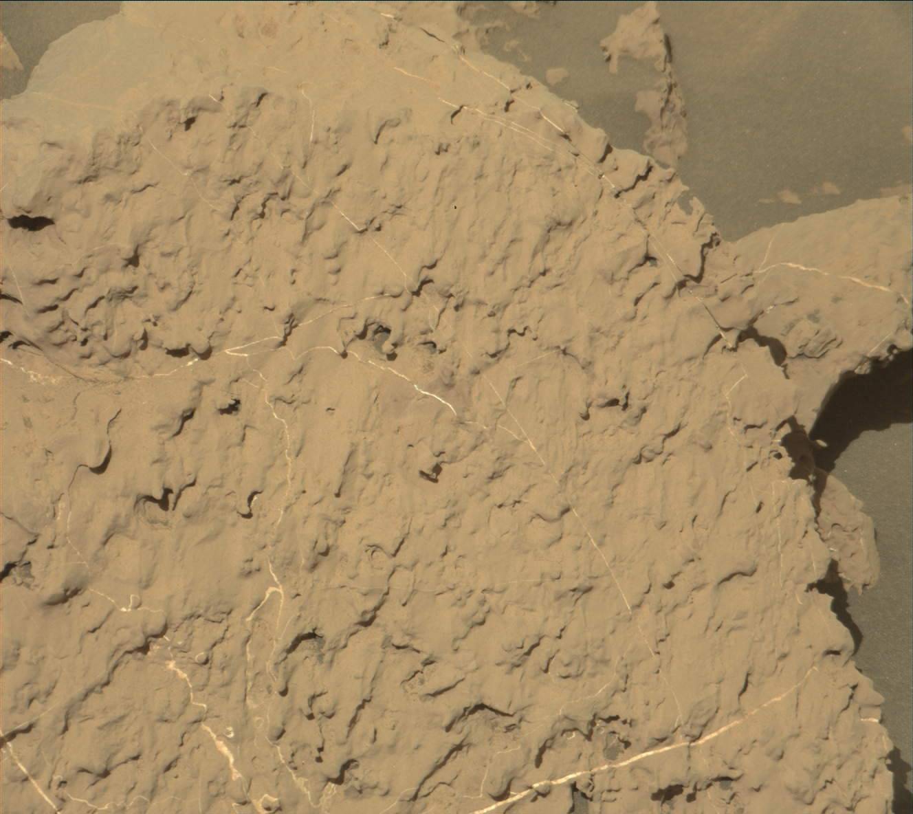 Nasa's Mars rover Curiosity acquired this image using its Mast Camera (Mastcam) on Sol 1838