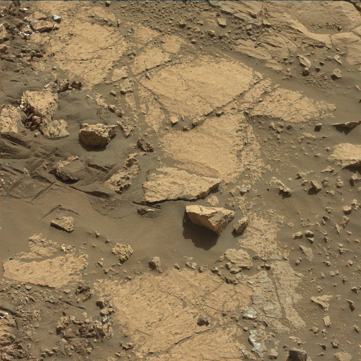 Nasa's Mars rover Curiosity acquired this image using its Mast Camera (Mastcam) on Sol 1843