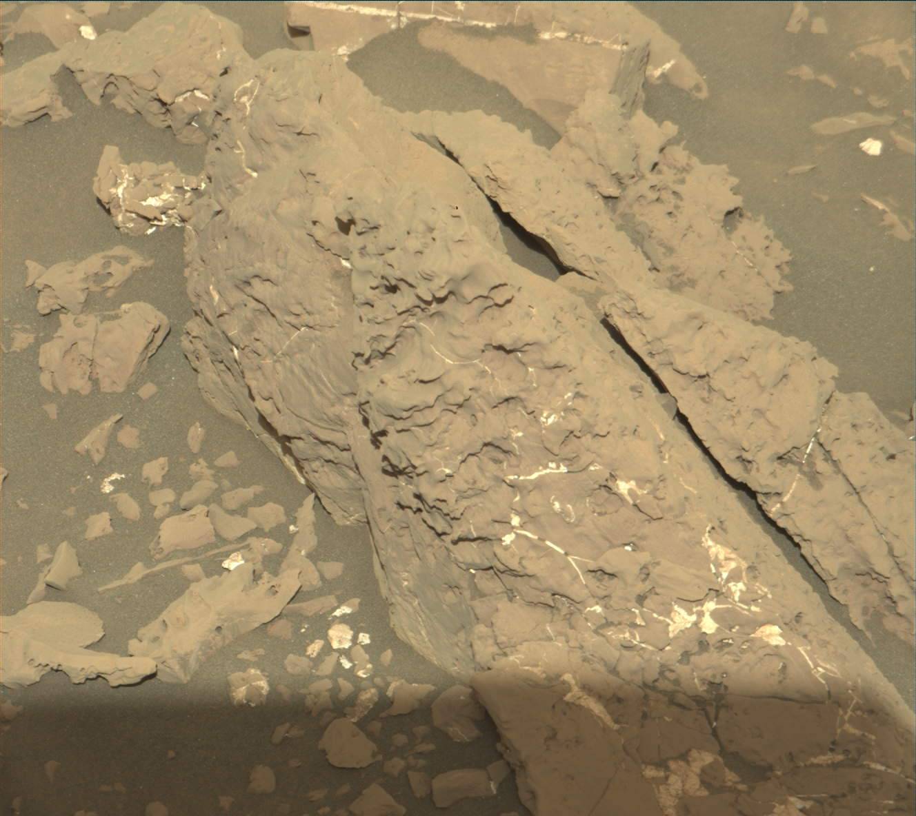 Nasa's Mars rover Curiosity acquired this image using its Mast Camera (Mastcam) on Sol 1845