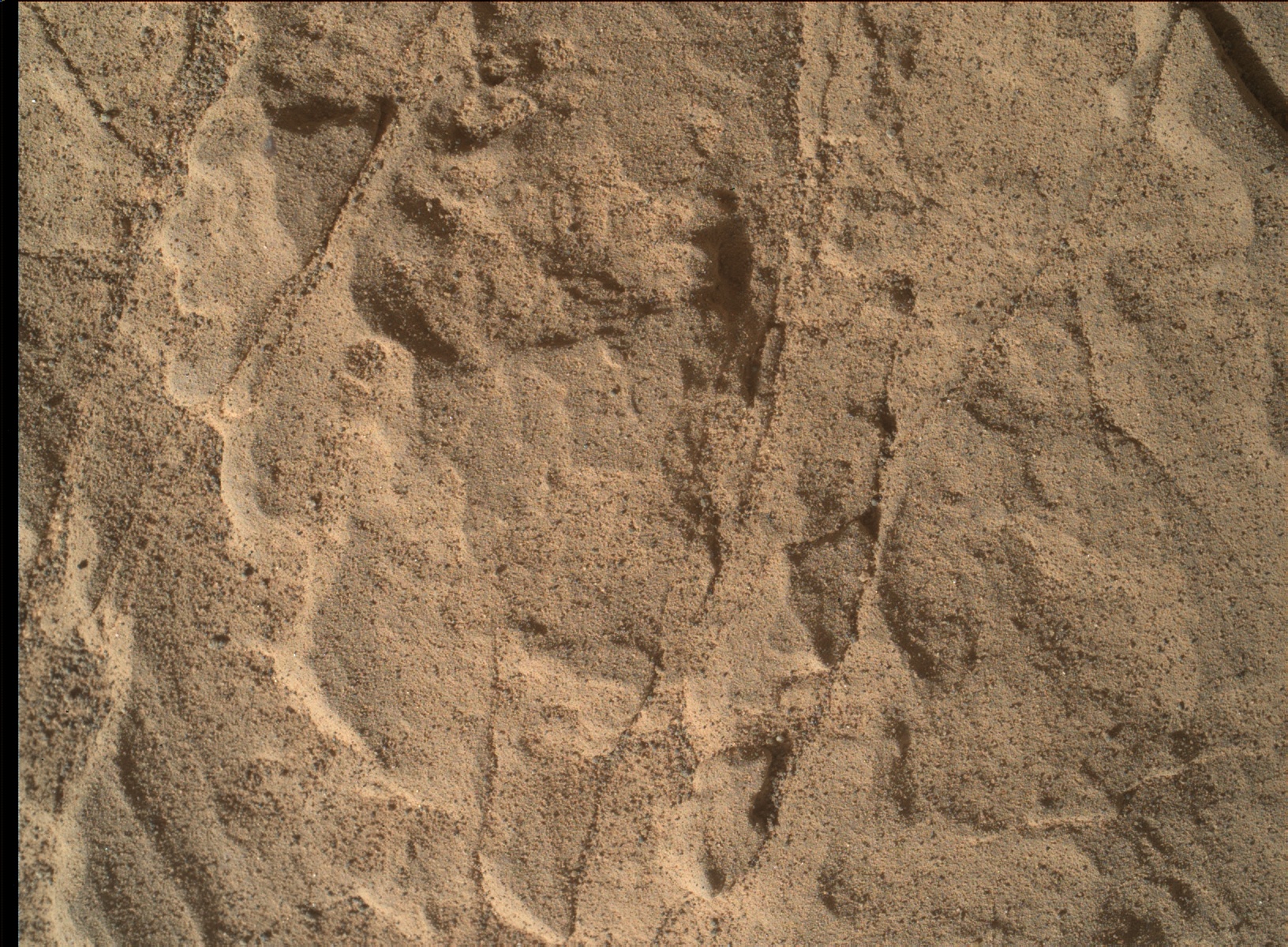 Nasa's Mars rover Curiosity acquired this image using its Mars Hand Lens Imager (MAHLI) on Sol 1845