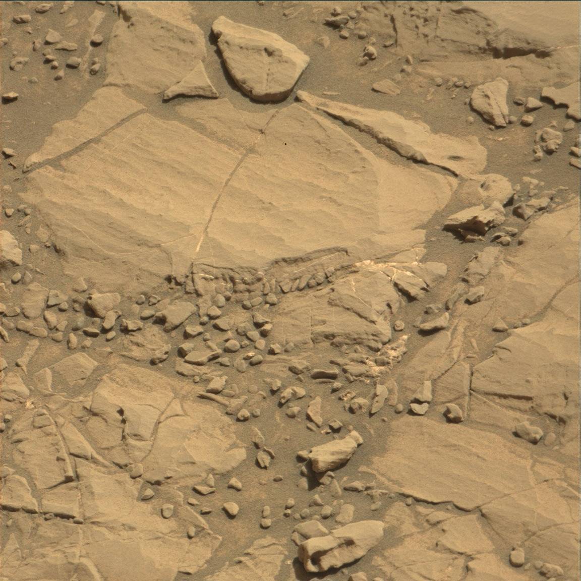 Nasa's Mars rover Curiosity acquired this image using its Mast Camera (Mastcam) on Sol 1846