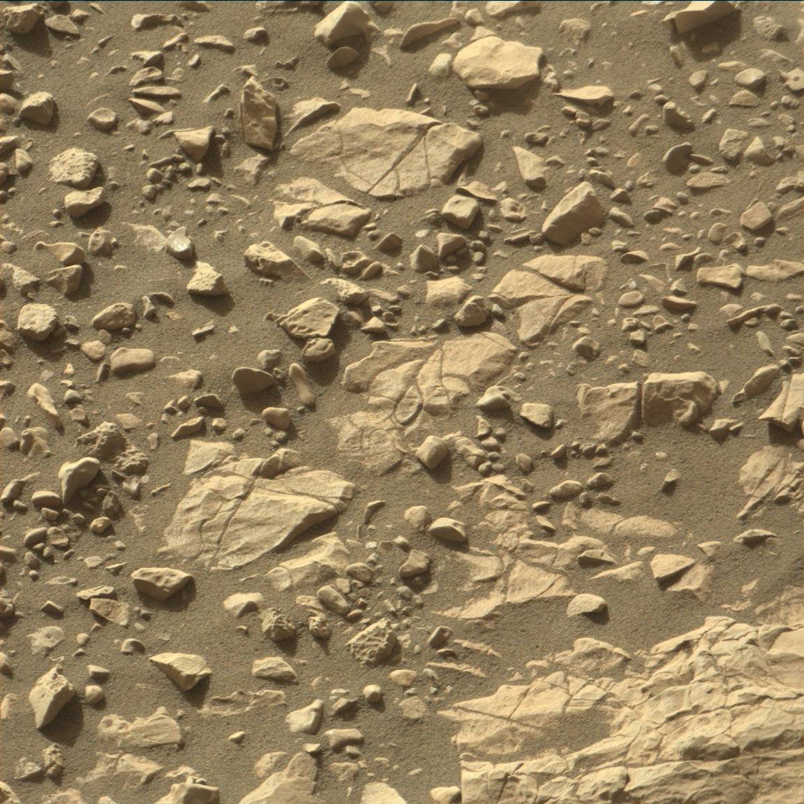 Nasa's Mars rover Curiosity acquired this image using its Mast Camera (Mastcam) on Sol 1848