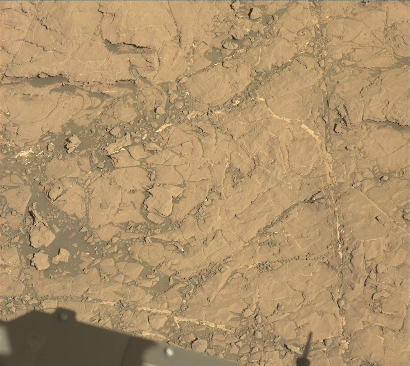 Nasa's Mars rover Curiosity acquired this image using its Mast Camera (Mastcam) on Sol 1850