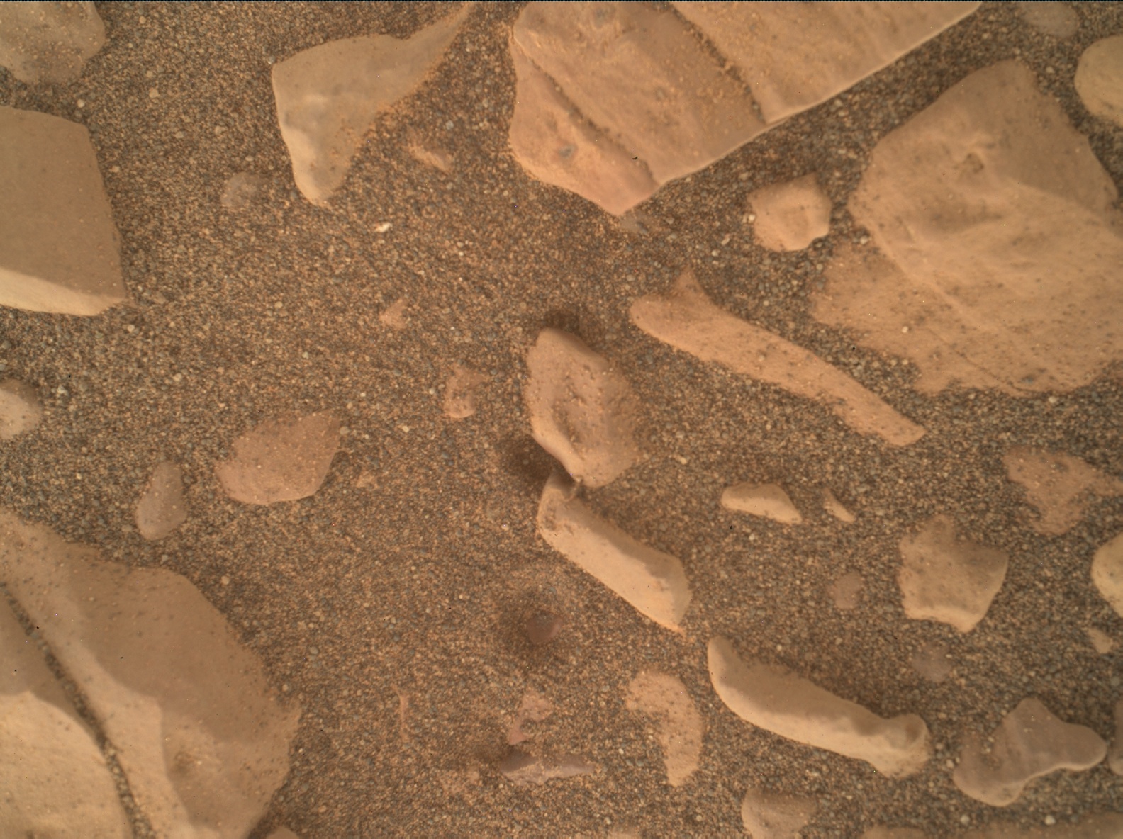 Nasa's Mars rover Curiosity acquired this image using its Mars Hand Lens Imager (MAHLI) on Sol 1850