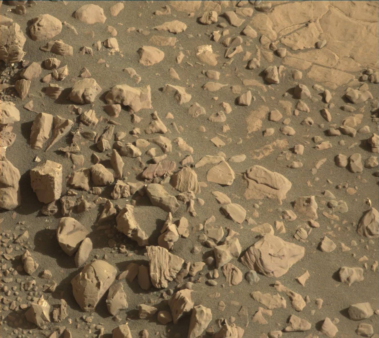 Nasa's Mars rover Curiosity acquired this image using its Mast Camera (Mastcam) on Sol 1856