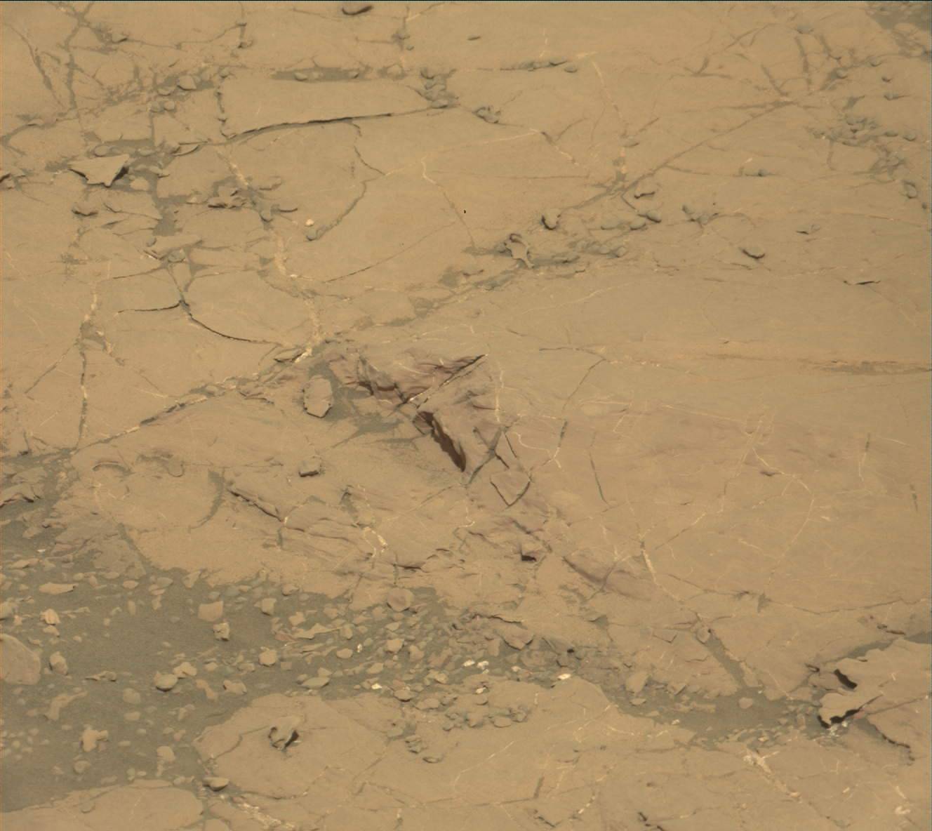 Nasa's Mars rover Curiosity acquired this image using its Mast Camera (Mastcam) on Sol 1862