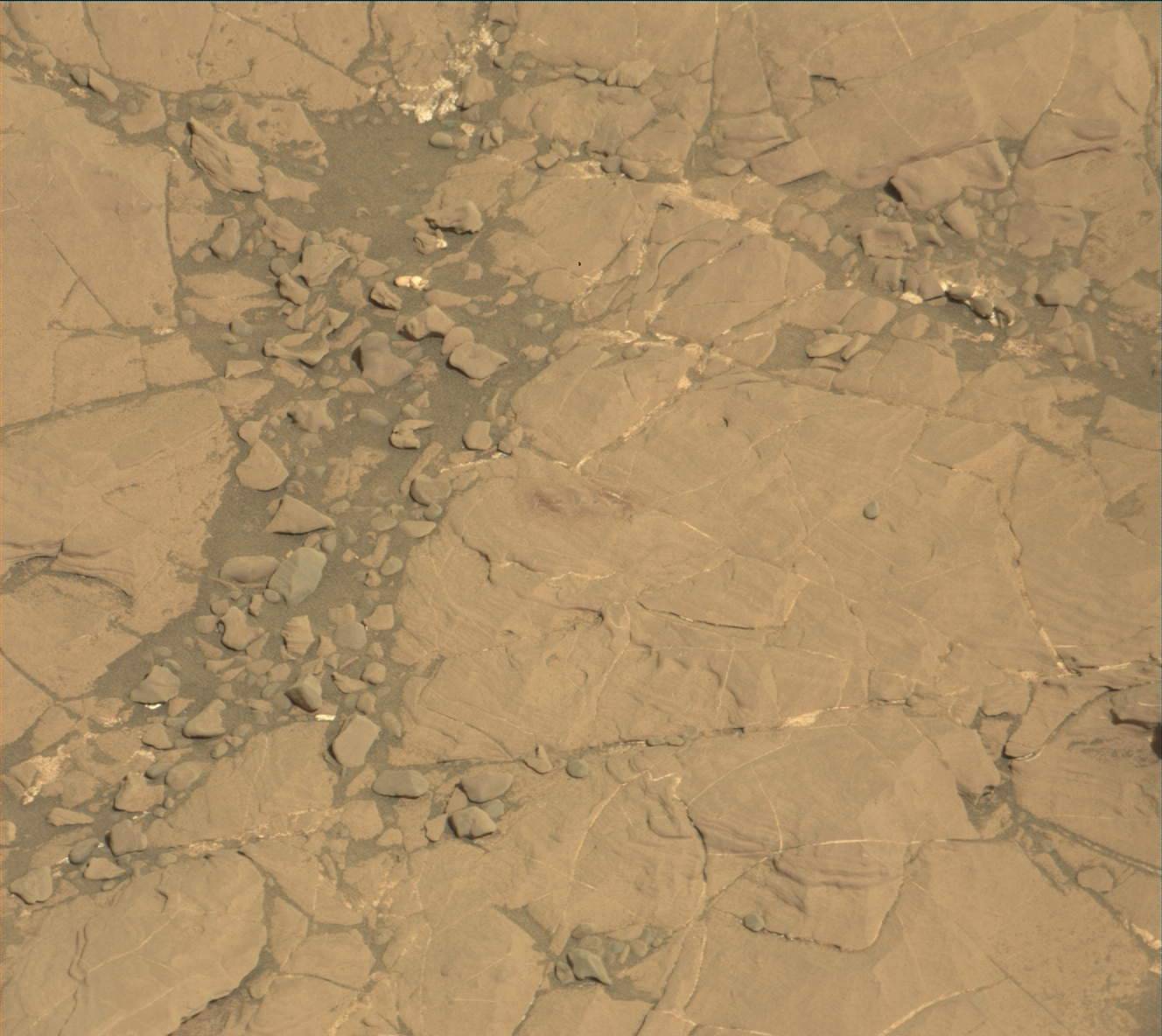 Nasa's Mars rover Curiosity acquired this image using its Mast Camera (Mastcam) on Sol 1862
