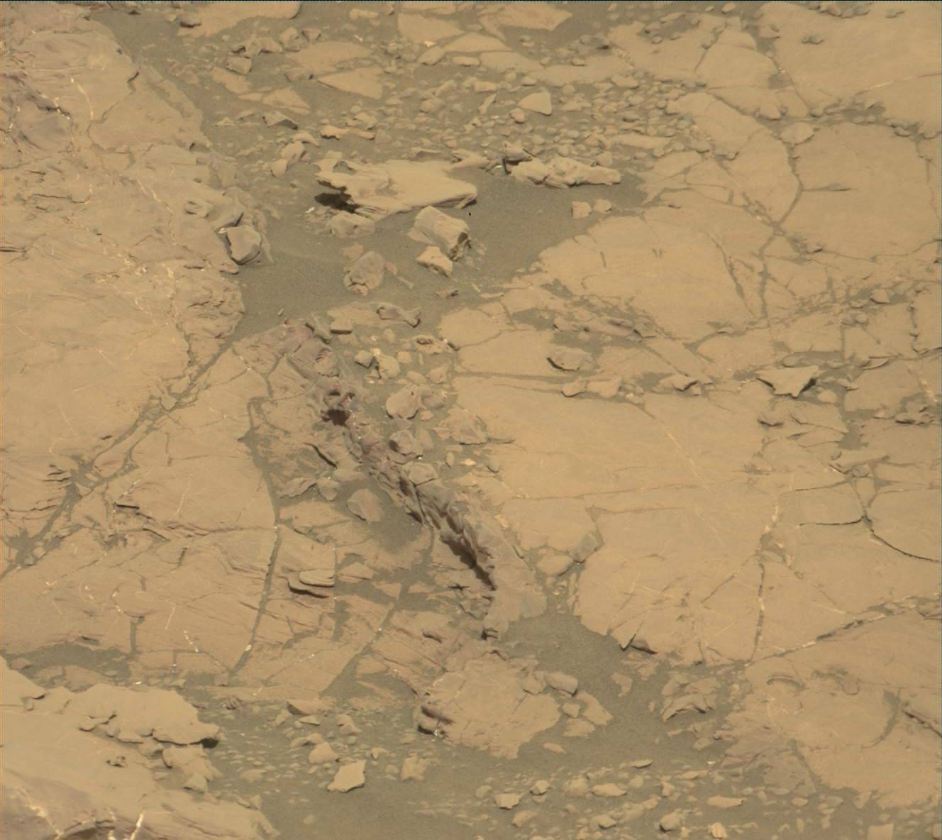 Nasa's Mars rover Curiosity acquired this image using its Mast Camera (Mastcam) on Sol 1863