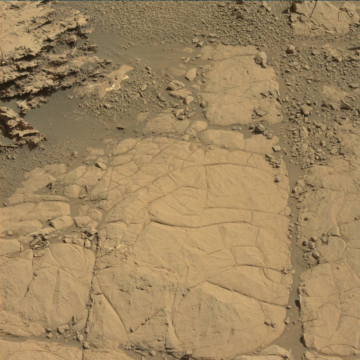 Nasa's Mars rover Curiosity acquired this image using its Mast Camera (Mastcam) on Sol 1867