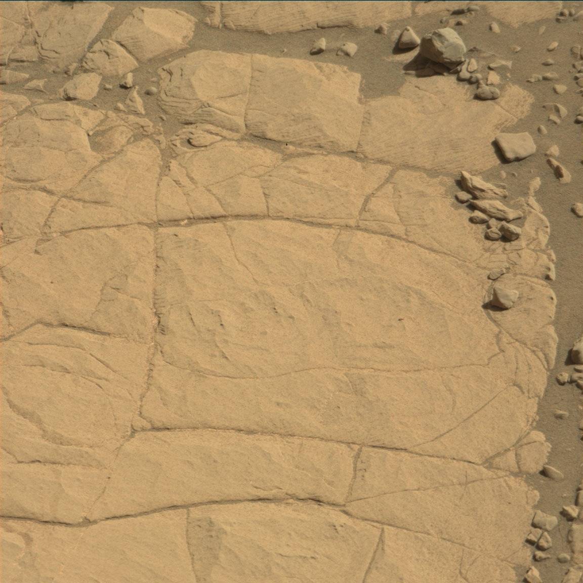 Nasa's Mars rover Curiosity acquired this image using its Mast Camera (Mastcam) on Sol 1867