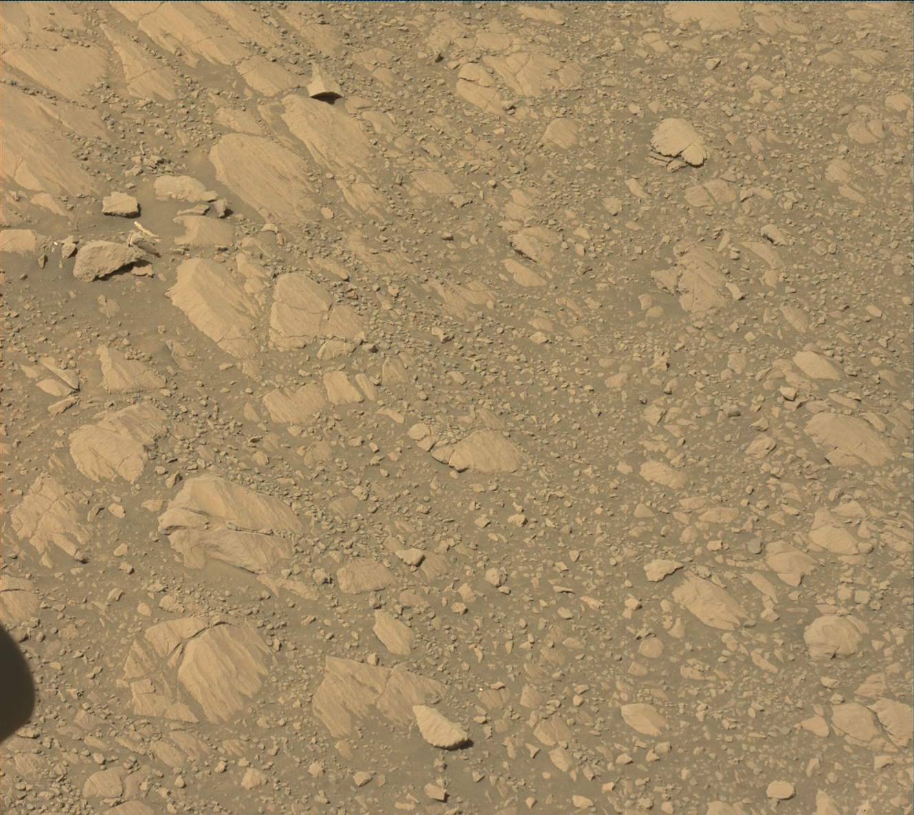 Nasa's Mars rover Curiosity acquired this image using its Mast Camera (Mastcam) on Sol 1871