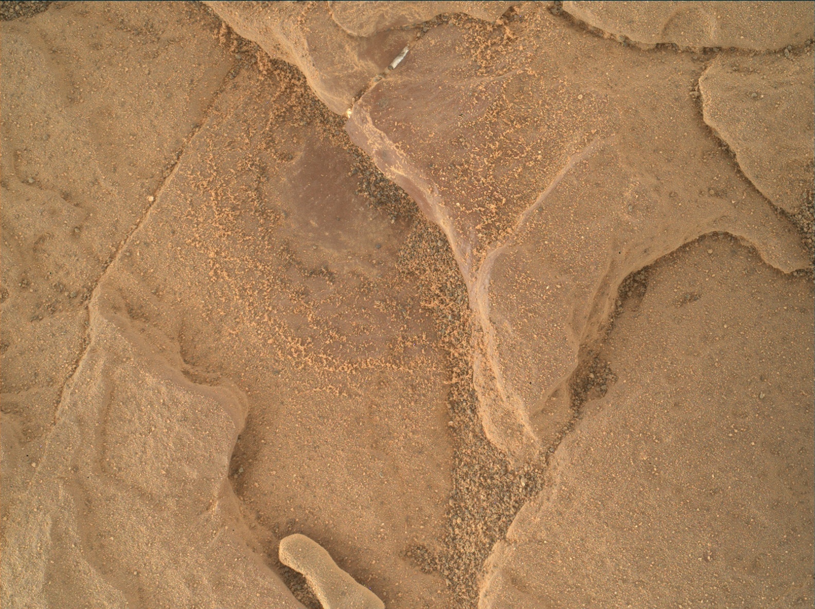 Nasa's Mars rover Curiosity acquired this image using its Mars Hand Lens Imager (MAHLI) on Sol 1871