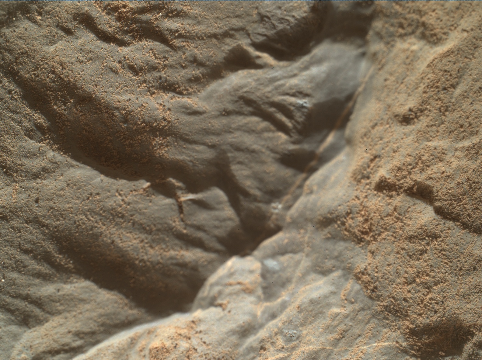 Nasa's Mars rover Curiosity acquired this image using its Mars Hand Lens Imager (MAHLI) on Sol 1879