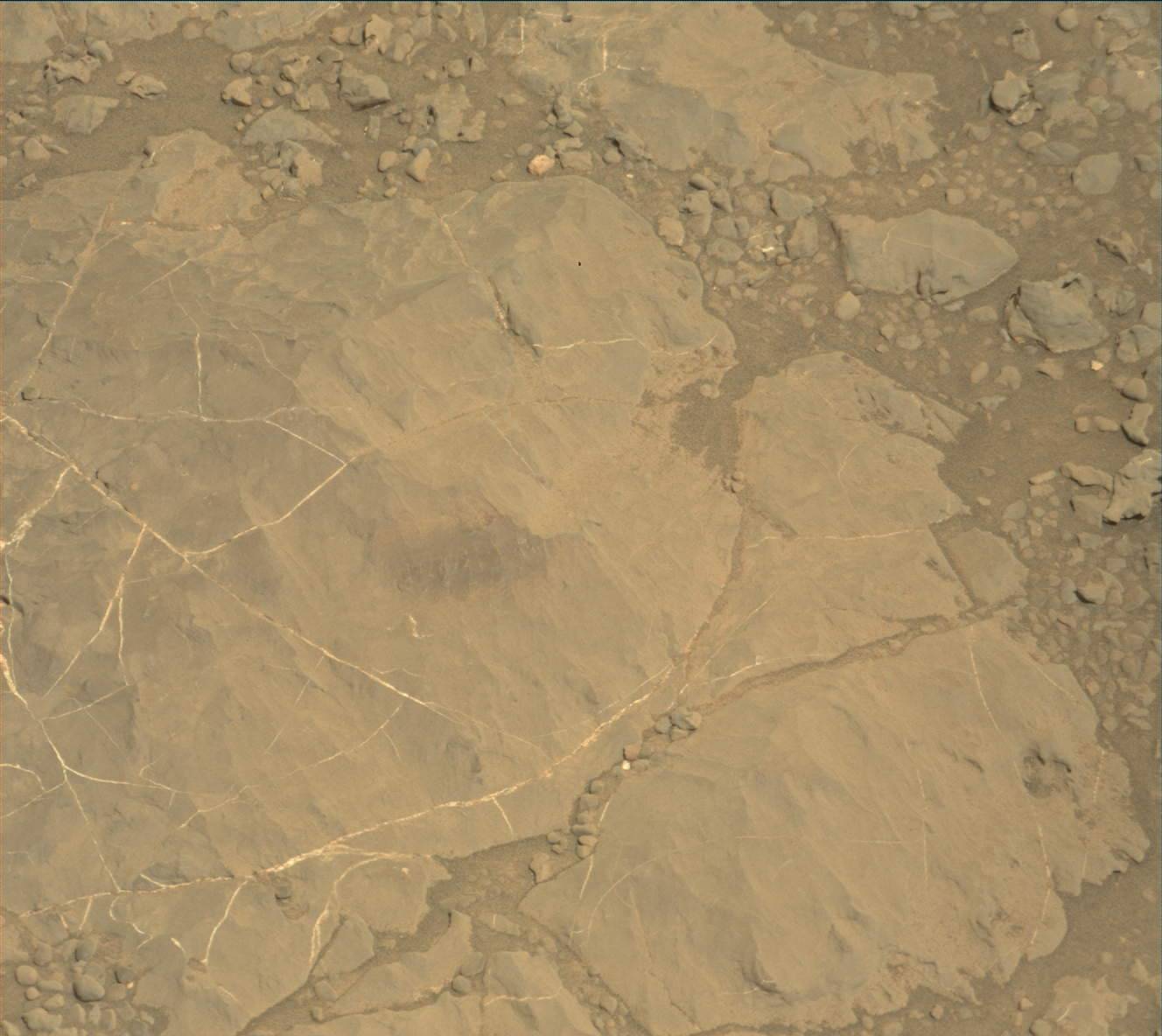 Nasa's Mars rover Curiosity acquired this image using its Mast Camera (Mastcam) on Sol 1885
