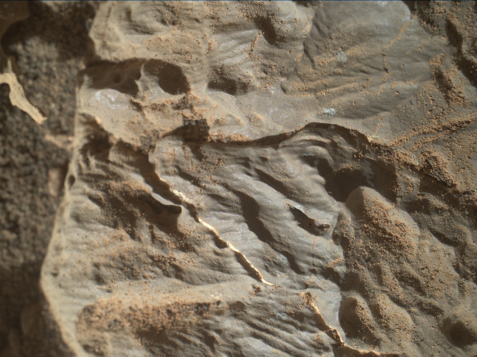 Nasa's Mars rover Curiosity acquired this image using its Mars Hand Lens Imager (MAHLI) on Sol 1886