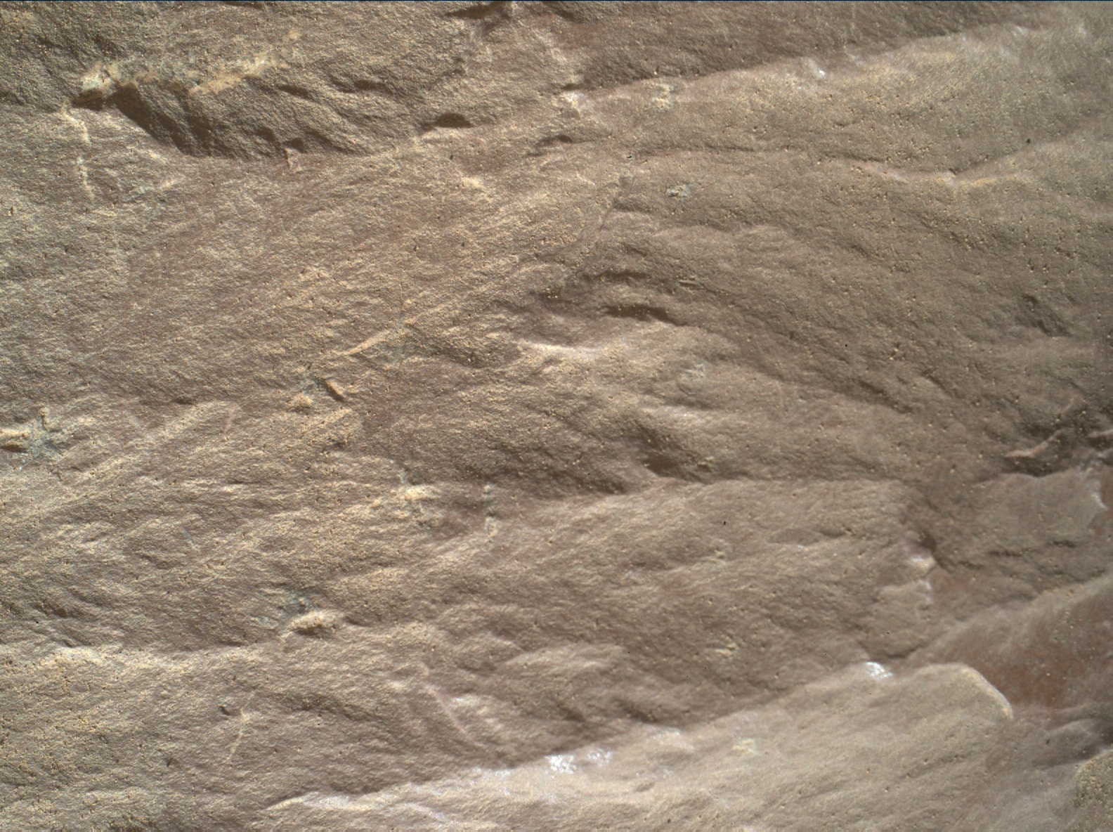 Nasa's Mars rover Curiosity acquired this image using its Mars Hand Lens Imager (MAHLI) on Sol 1886