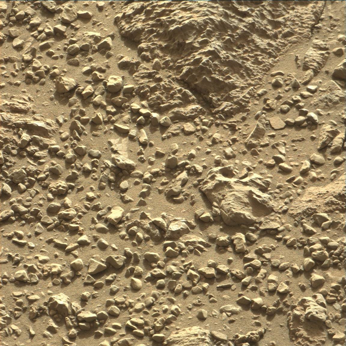 Nasa's Mars rover Curiosity acquired this image using its Mast Camera (Mastcam) on Sol 1887