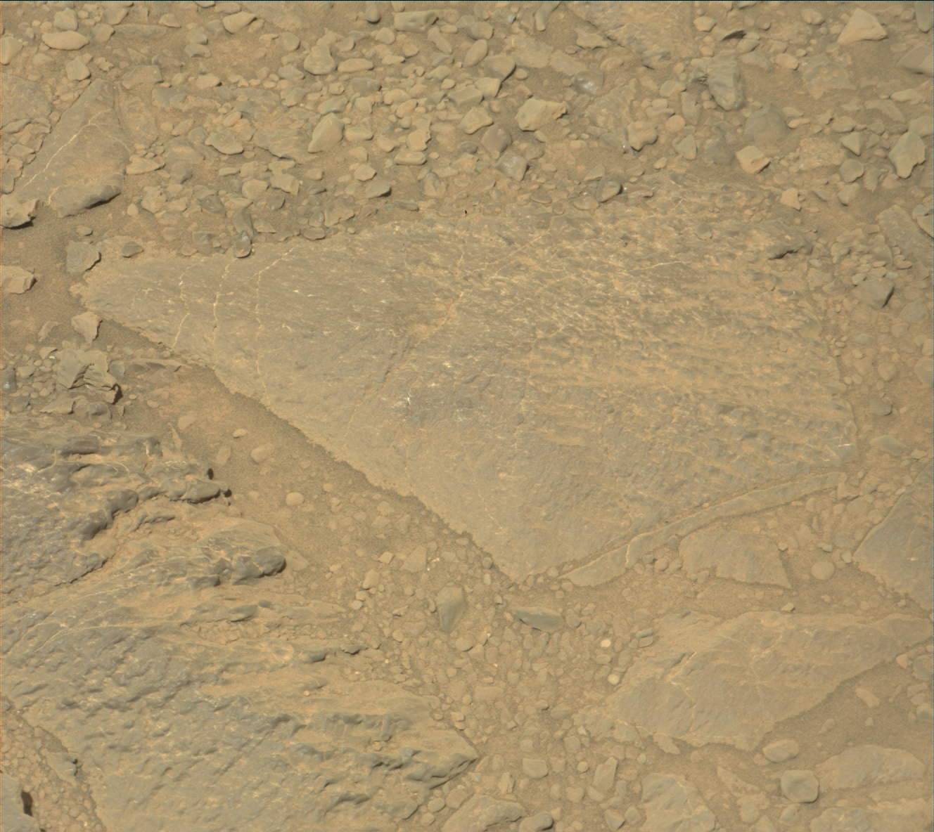 Nasa's Mars rover Curiosity acquired this image using its Mast Camera (Mastcam) on Sol 1889