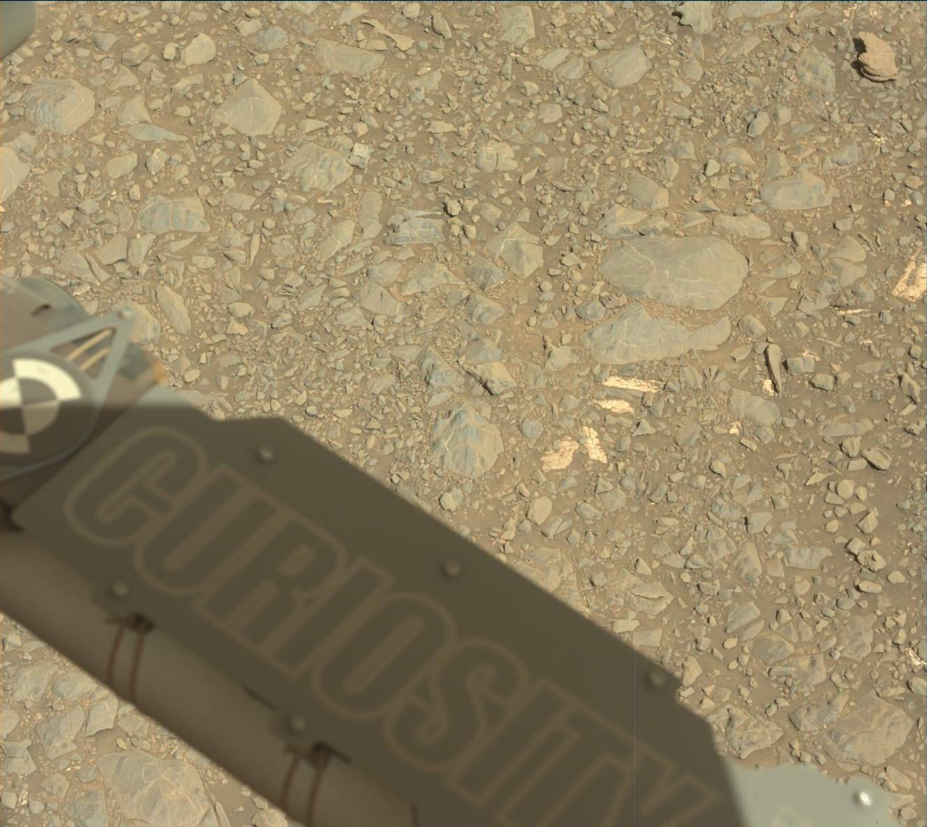 Nasa's Mars rover Curiosity acquired this image using its Mast Camera (Mastcam) on Sol 1891