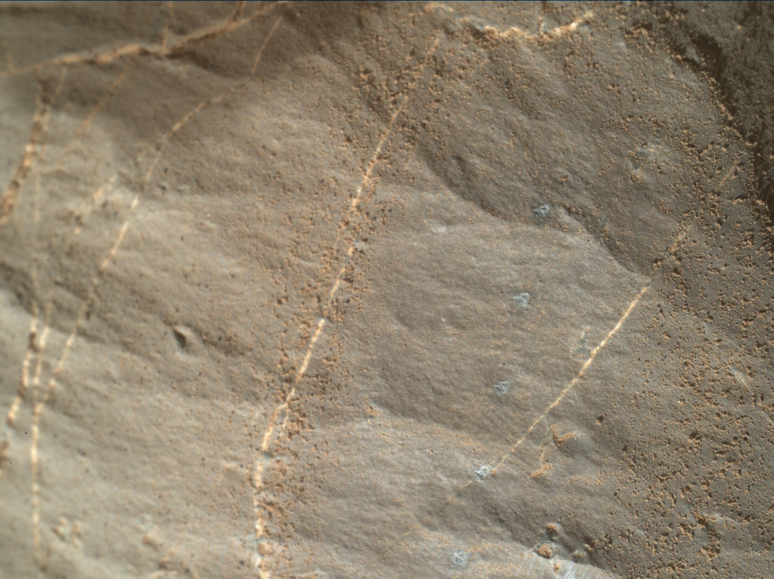 Nasa's Mars rover Curiosity acquired this image using its Mars Hand Lens Imager (MAHLI) on Sol 1892