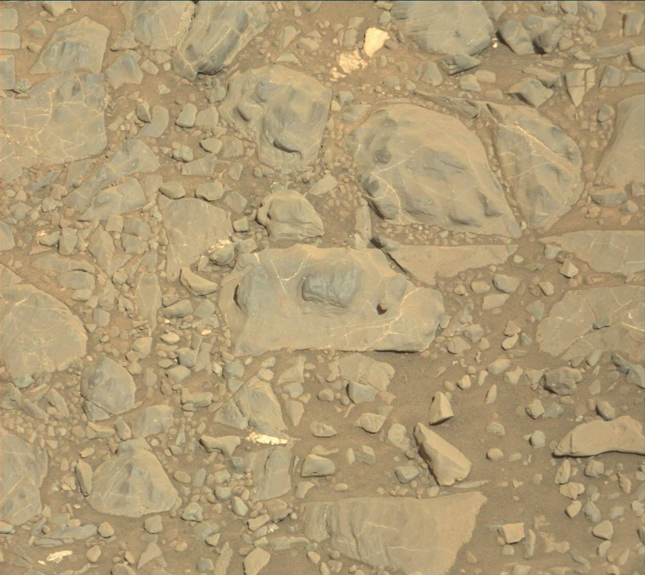 Nasa's Mars rover Curiosity acquired this image using its Mast Camera (Mastcam) on Sol 1893