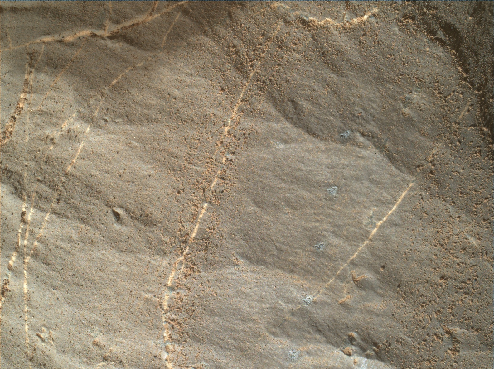 Nasa's Mars rover Curiosity acquired this image using its Mars Hand Lens Imager (MAHLI) on Sol 1894