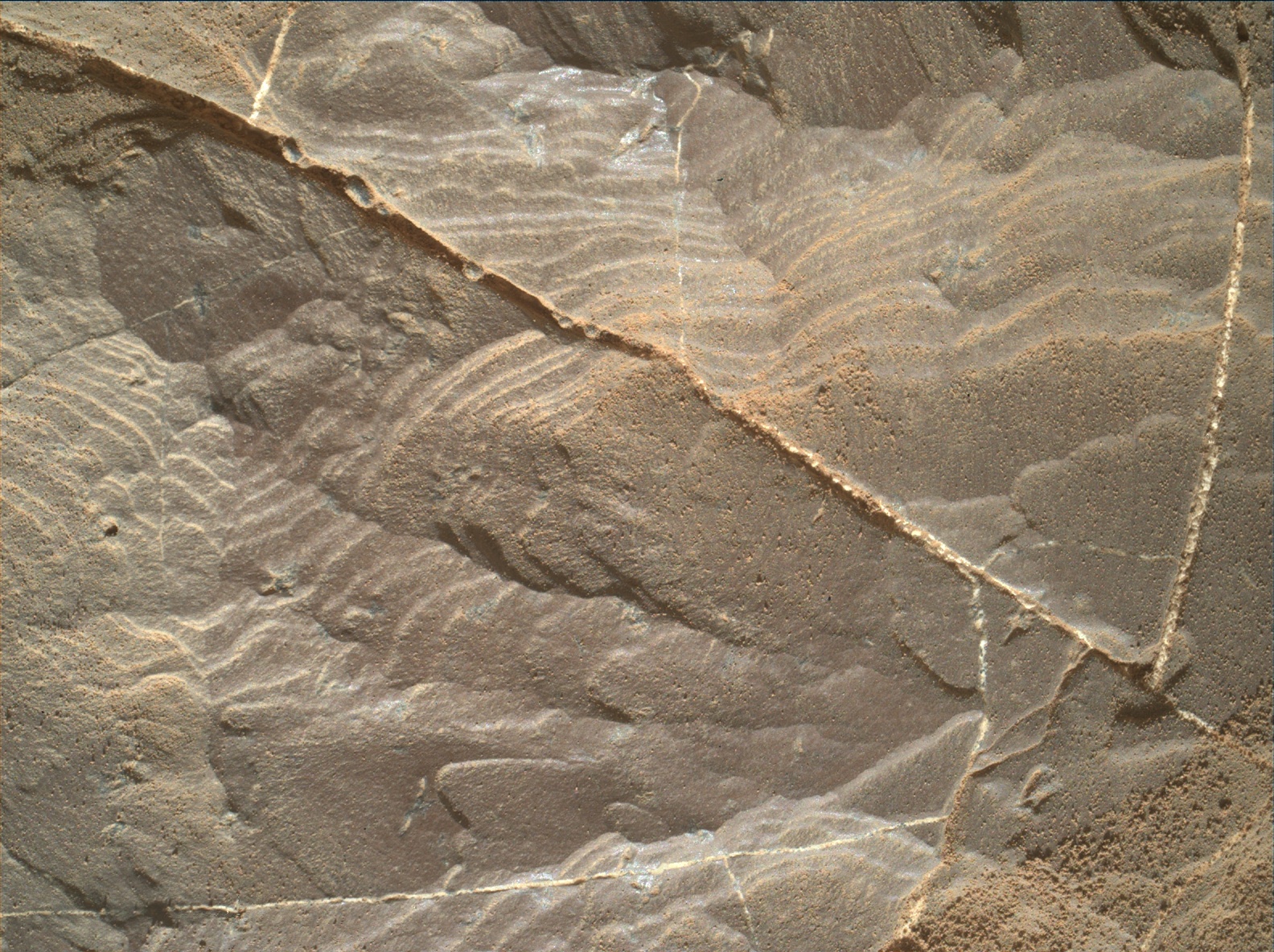 Nasa's Mars rover Curiosity acquired this image using its Mars Hand Lens Imager (MAHLI) on Sol 1894
