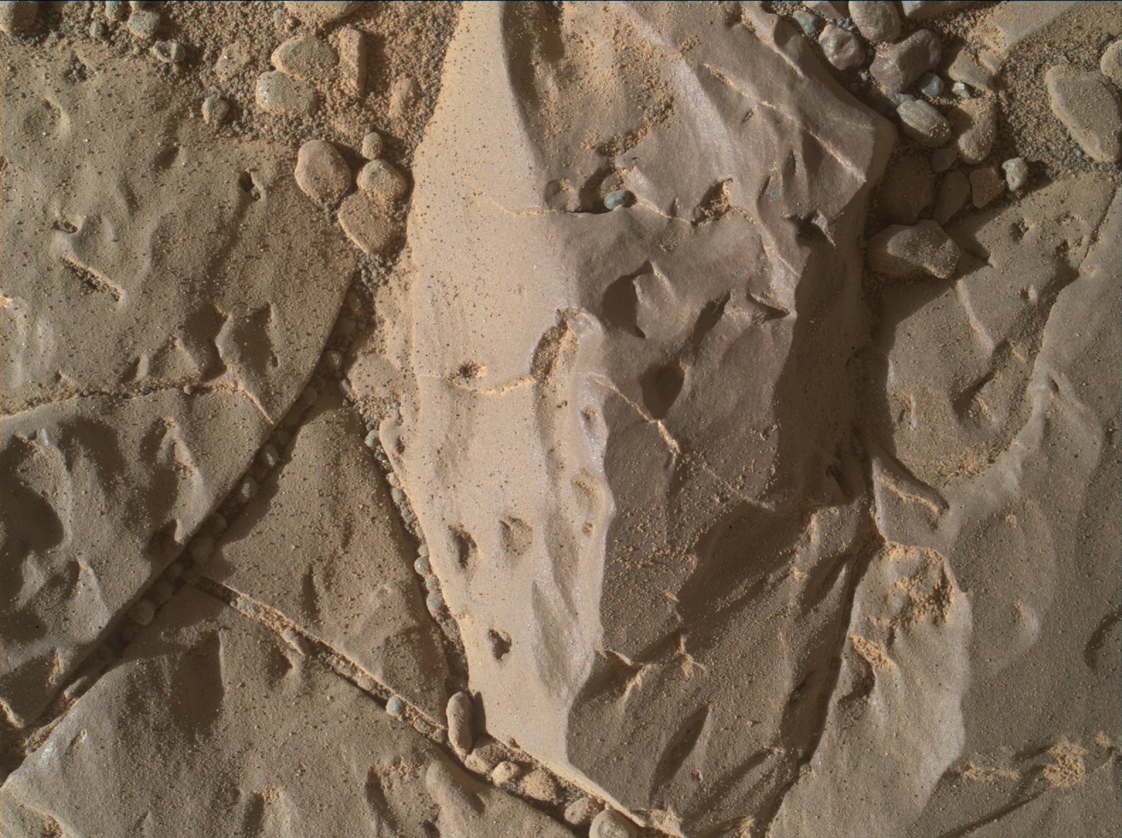 Nasa's Mars rover Curiosity acquired this image using its Mars Hand Lens Imager (MAHLI) on Sol 1896