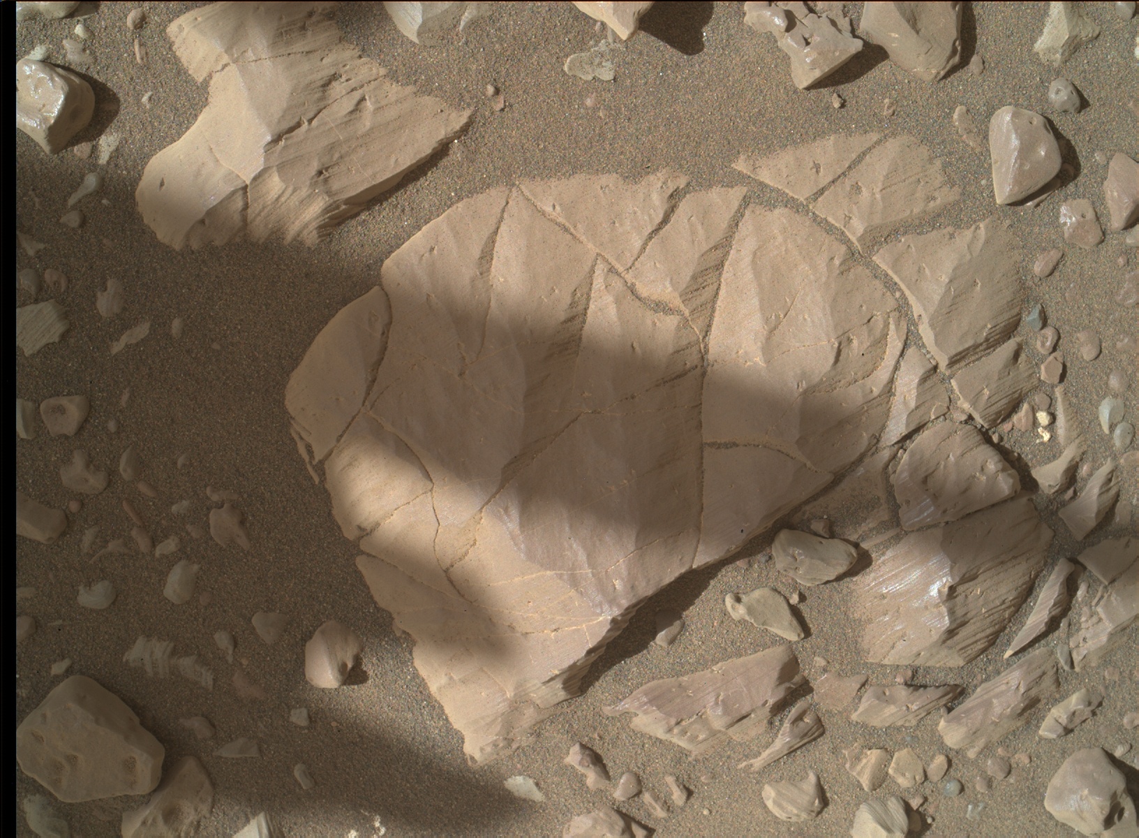 Nasa's Mars rover Curiosity acquired this image using its Mars Hand Lens Imager (MAHLI) on Sol 1897