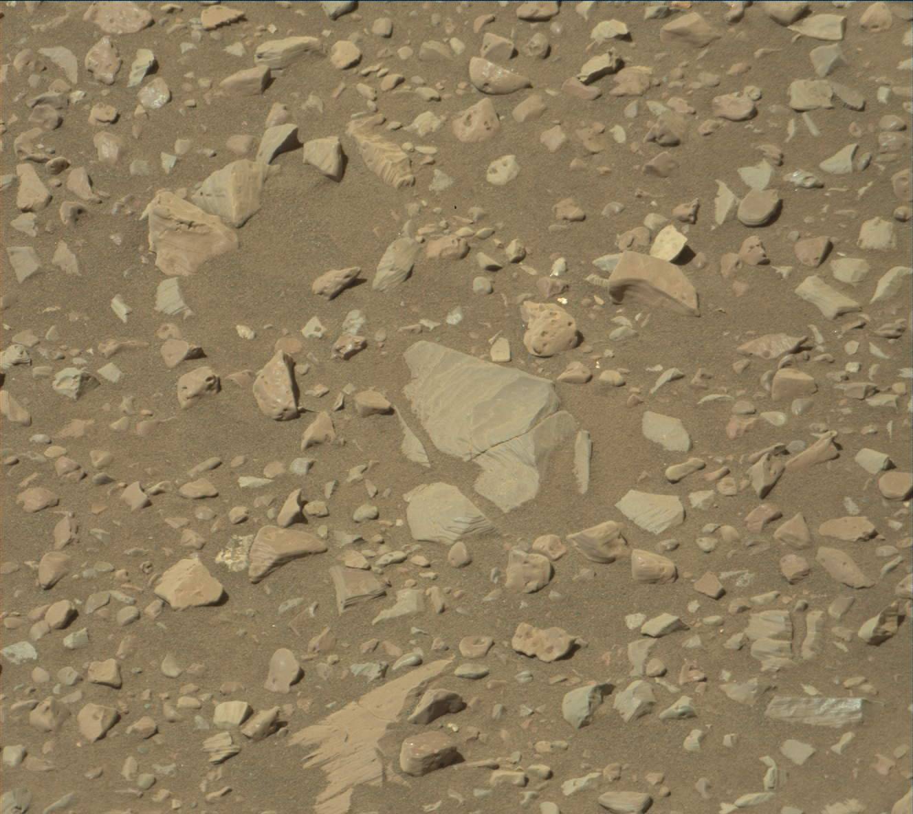 Nasa's Mars rover Curiosity acquired this image using its Mast Camera (Mastcam) on Sol 1899