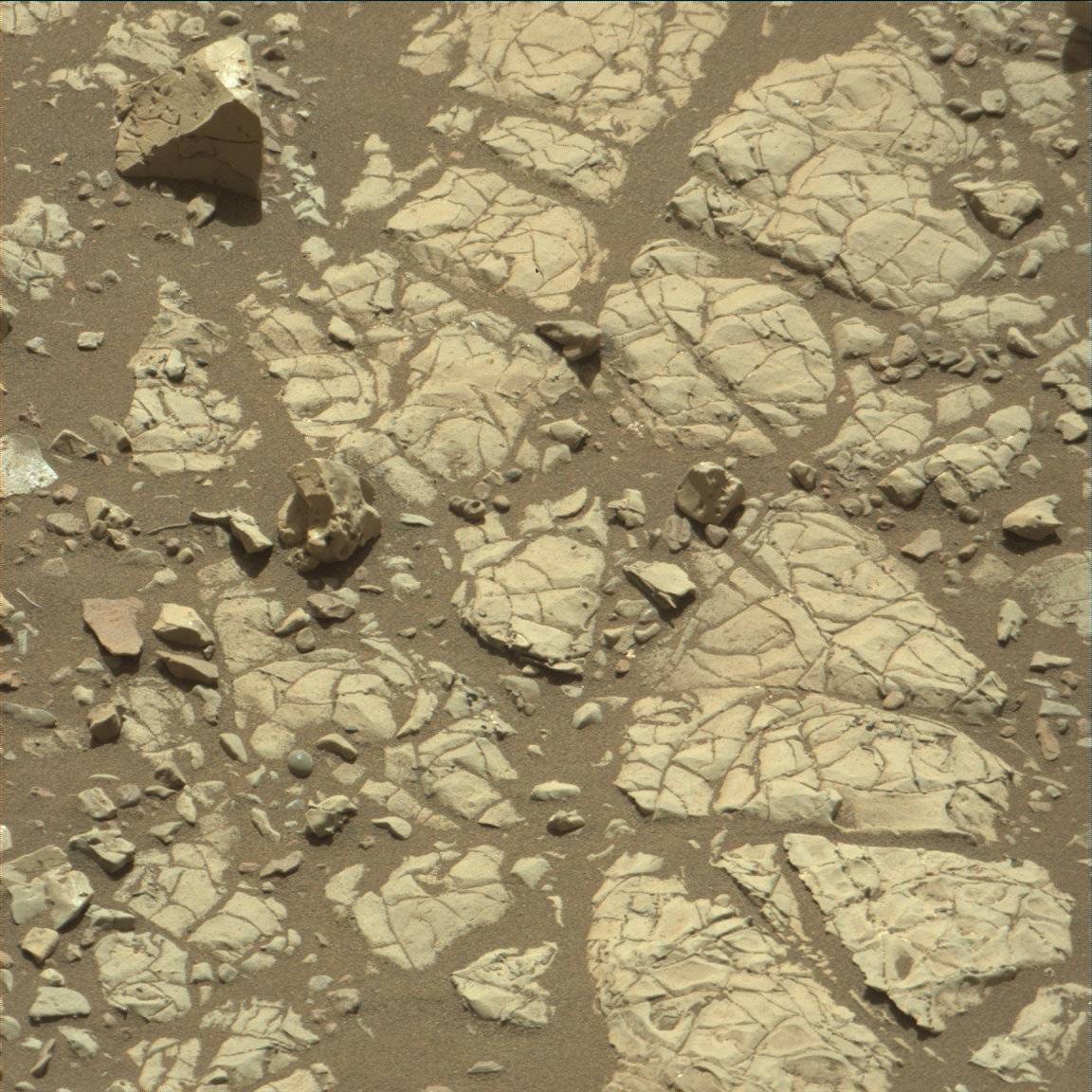 Nasa's Mars rover Curiosity acquired this image using its Mast Camera (Mastcam) on Sol 1901