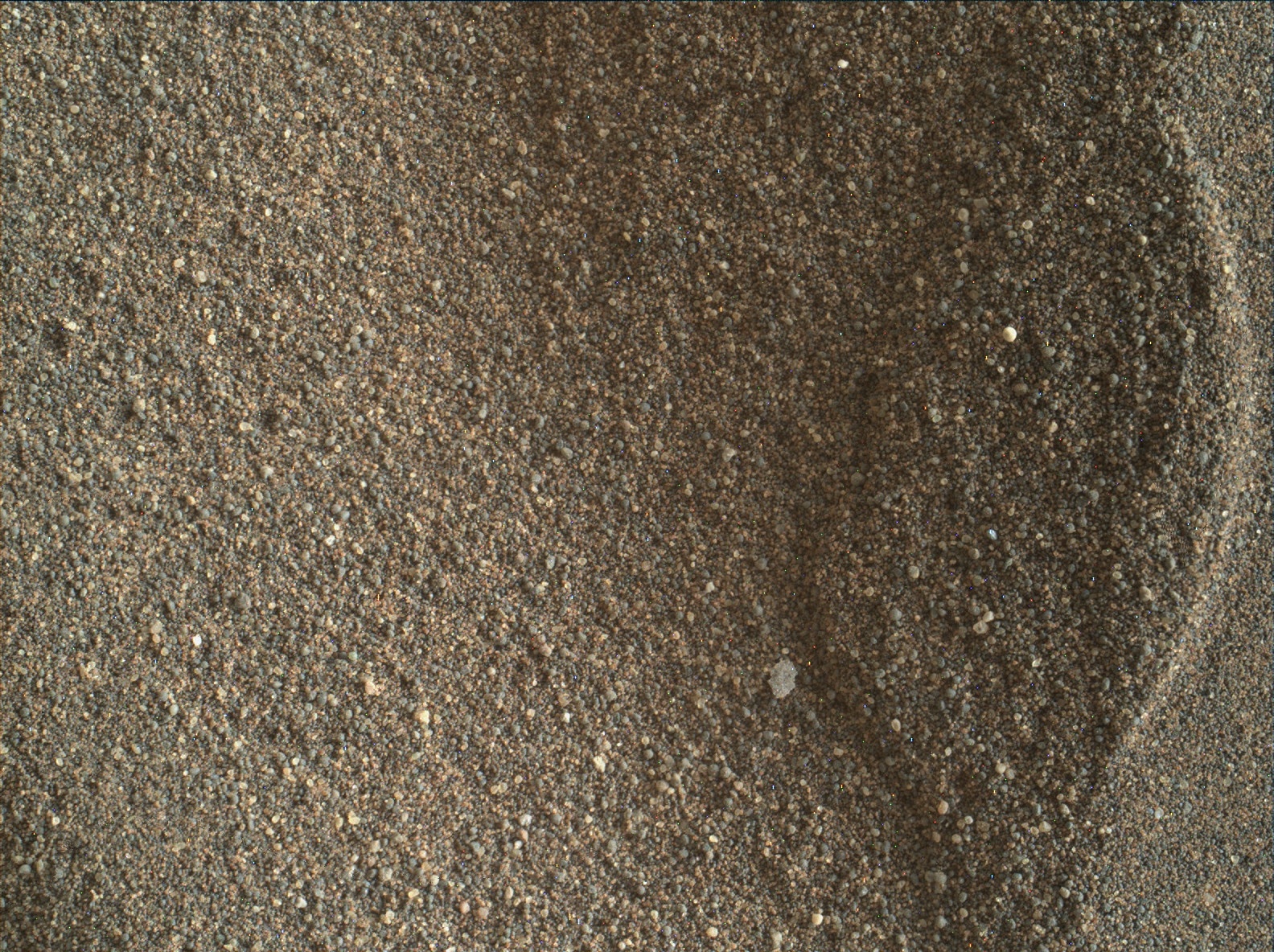 Nasa's Mars rover Curiosity acquired this image using its Mars Hand Lens Imager (MAHLI) on Sol 1903