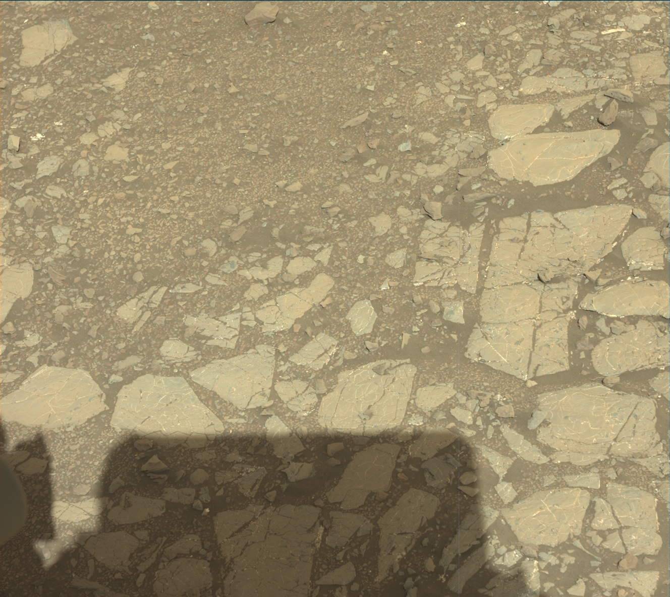 Nasa's Mars rover Curiosity acquired this image using its Mast Camera (Mastcam) on Sol 1910