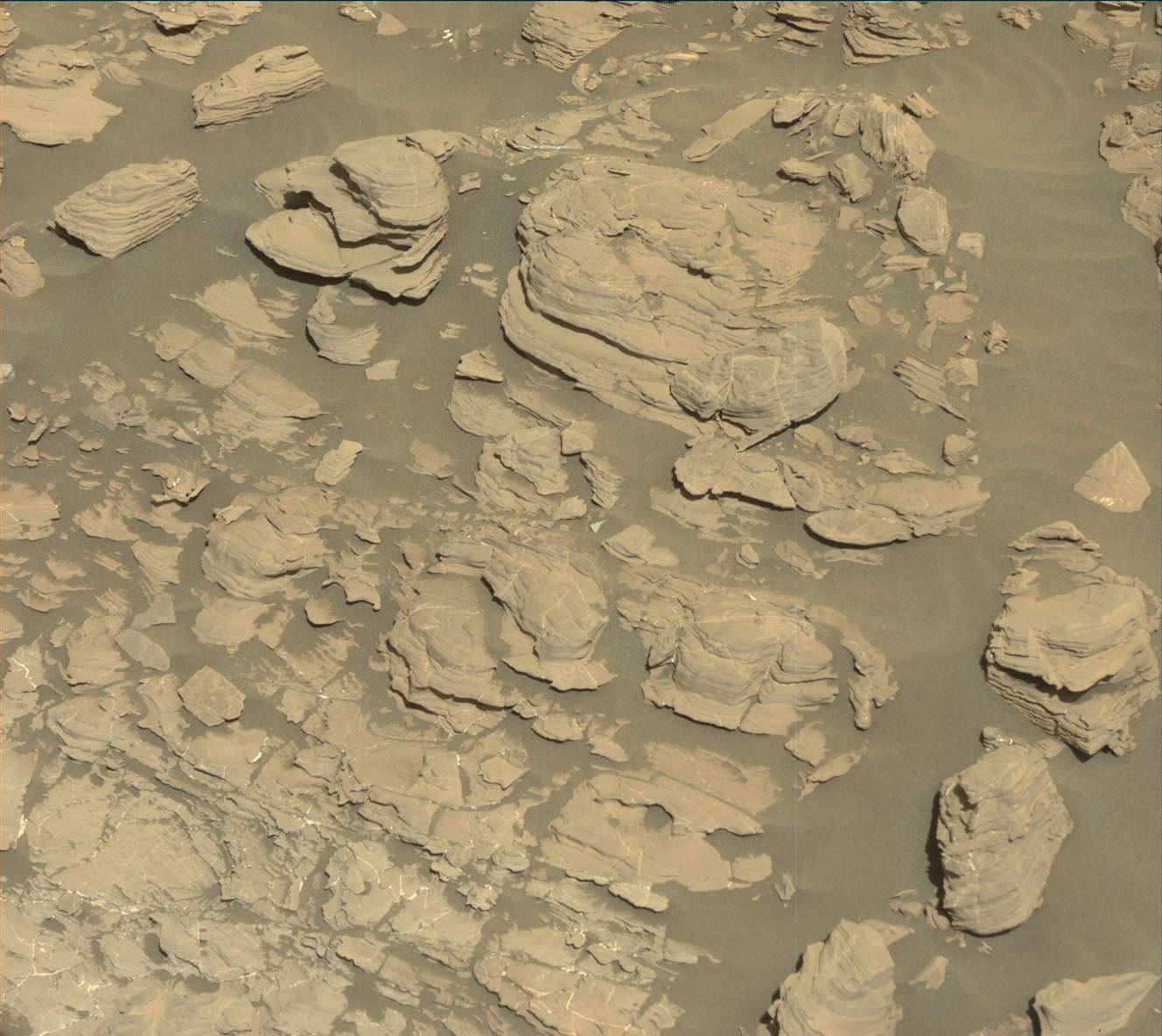 Nasa's Mars rover Curiosity acquired this image using its Mast Camera (Mastcam) on Sol 1923