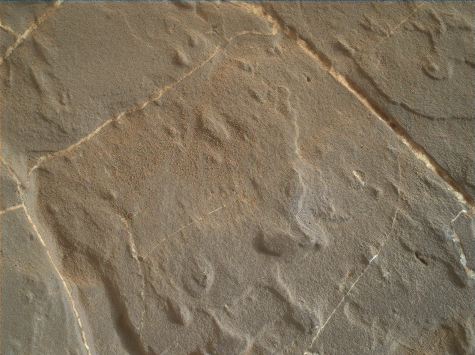 Nasa's Mars rover Curiosity acquired this image using its Mars Hand Lens Imager (MAHLI) on Sol 1927