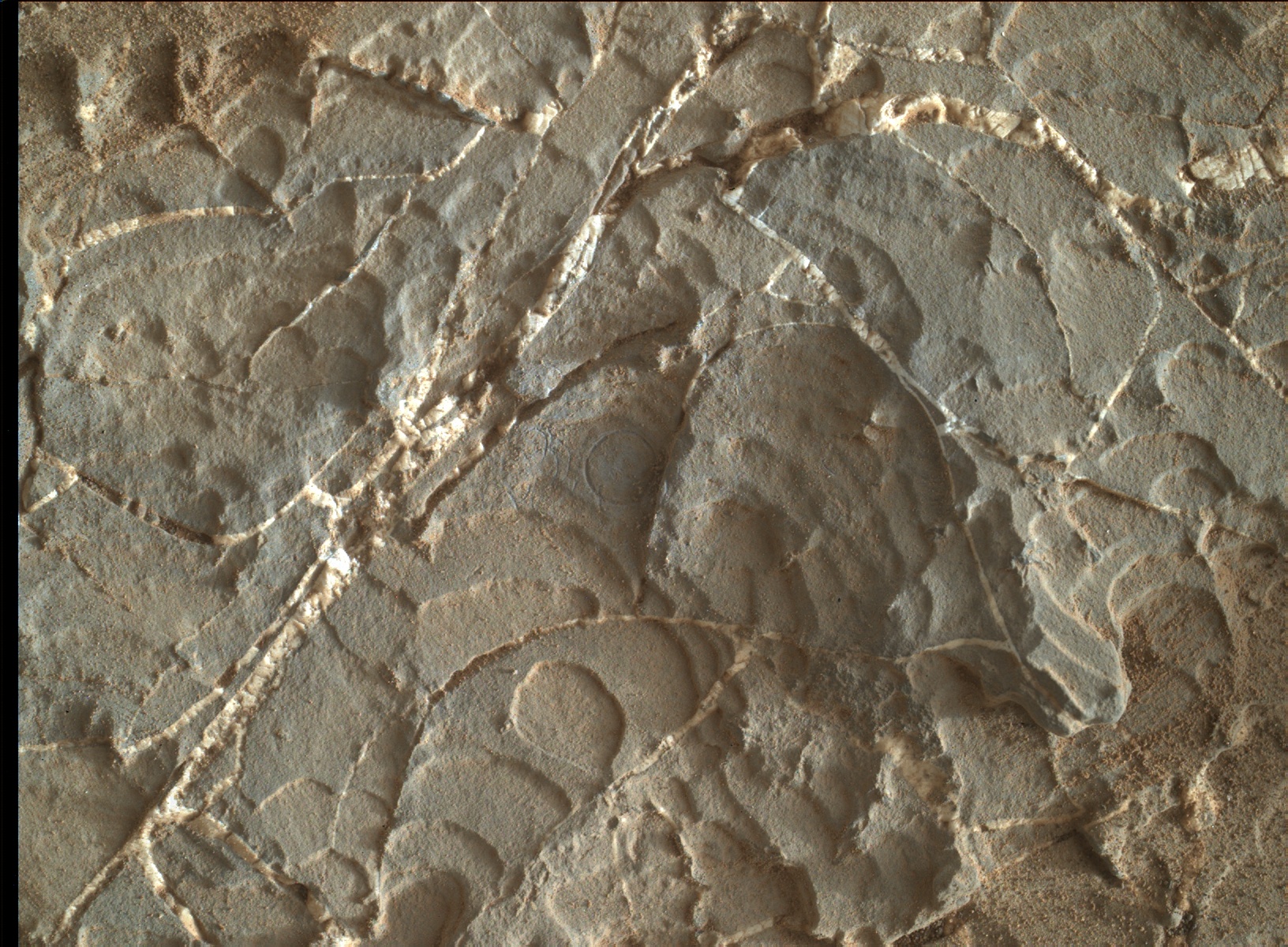 Nasa's Mars rover Curiosity acquired this image using its Mars Hand Lens Imager (MAHLI) on Sol 1931