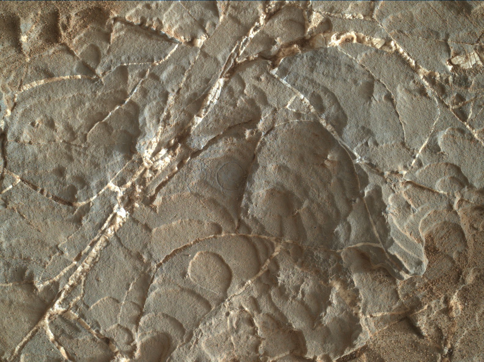 Nasa's Mars rover Curiosity acquired this image using its Mars Hand Lens Imager (MAHLI) on Sol 1931