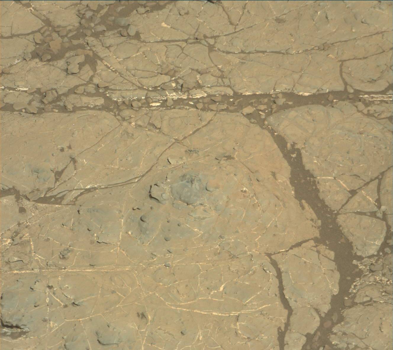 Nasa's Mars rover Curiosity acquired this image using its Mast Camera (Mastcam) on Sol 1937