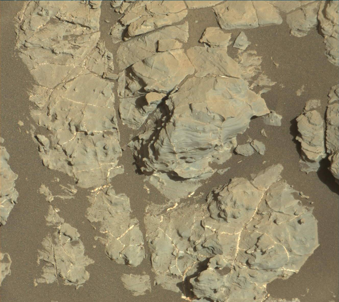 Nasa's Mars rover Curiosity acquired this image using its Mast Camera (Mastcam) on Sol 1937