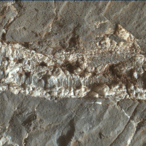 Nasa's Mars rover Curiosity acquired this image using its Mars Hand Lens Imager (MAHLI) on Sol 1937